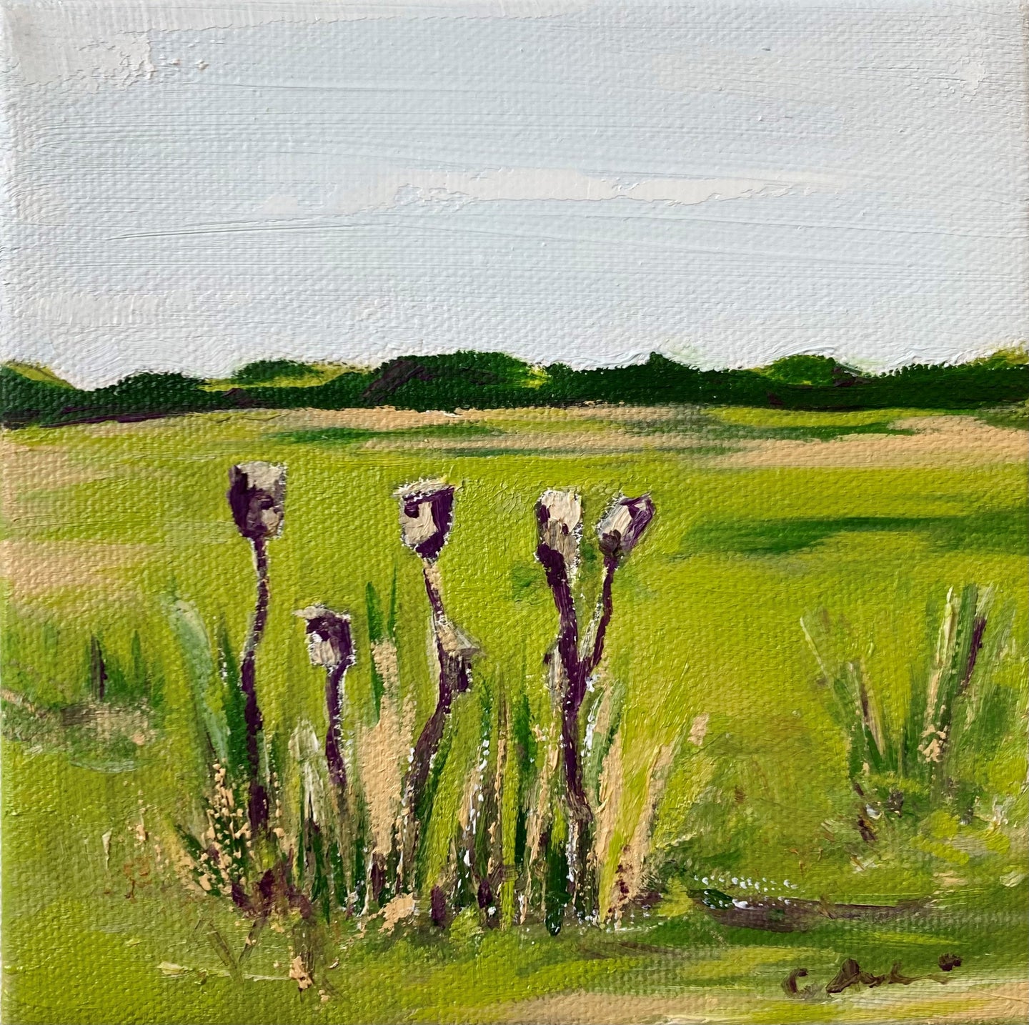 Cynthia Andrews, Neighbors