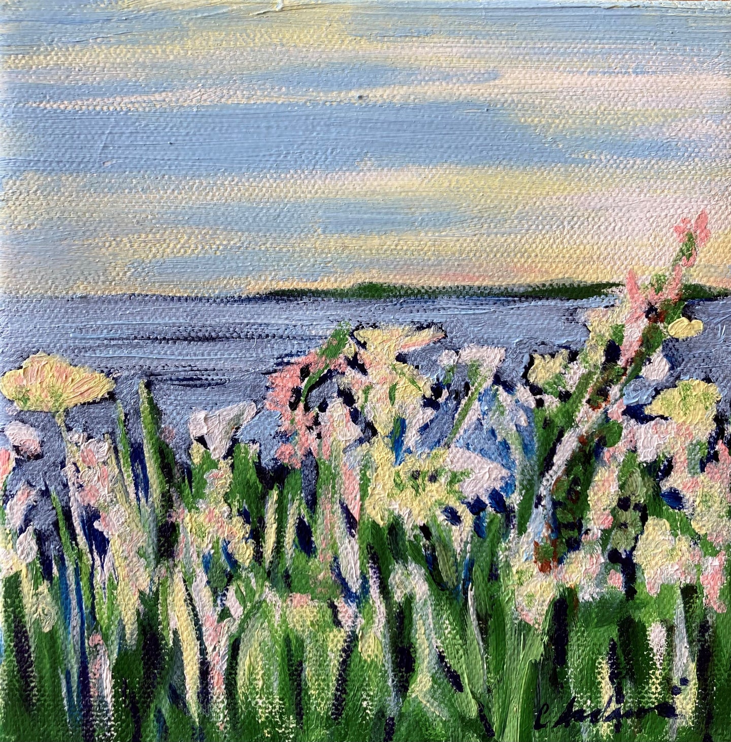 Cynthia Andrews, Island Wildflowers