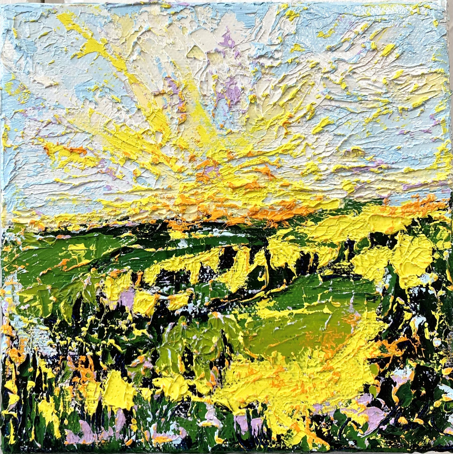 Cynthia Andrews, Rays of Hope