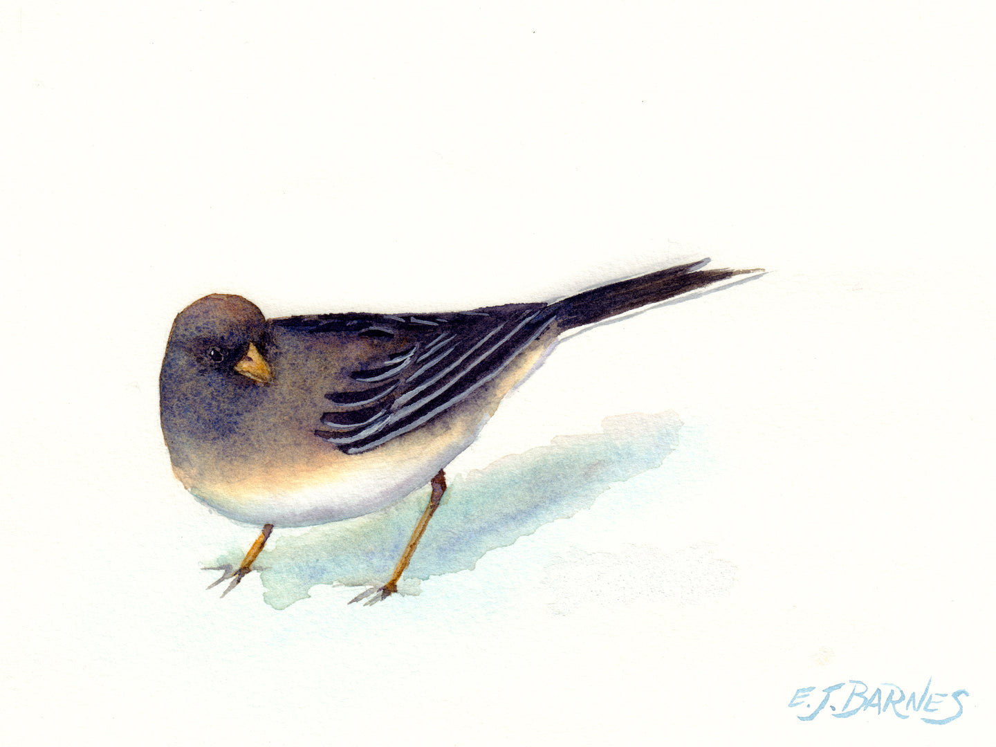 E. J. Barnes, Snowbird