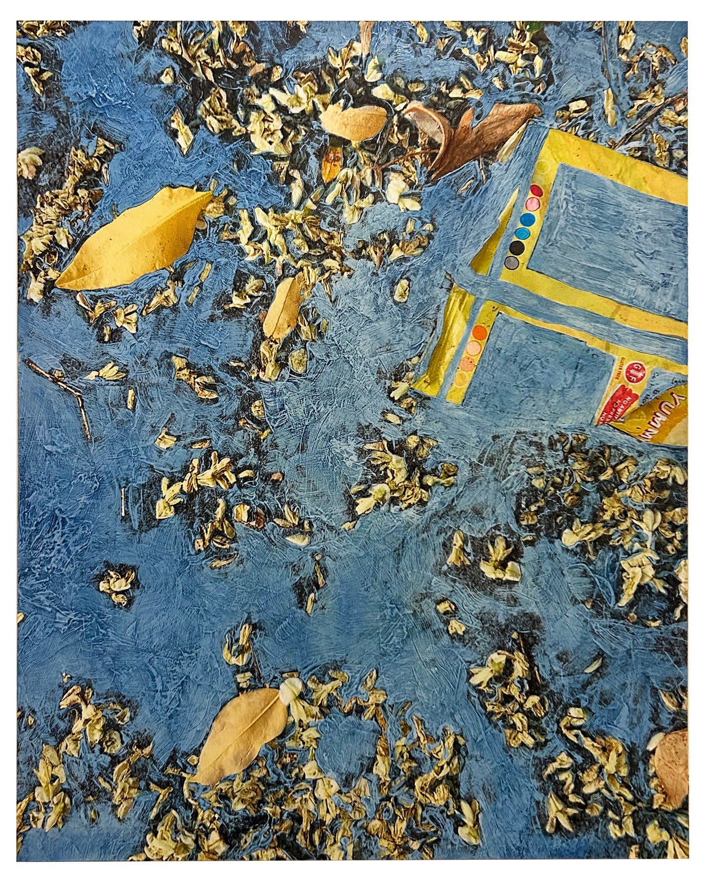 Abby Fenn, Matching Trash: Lays Chips