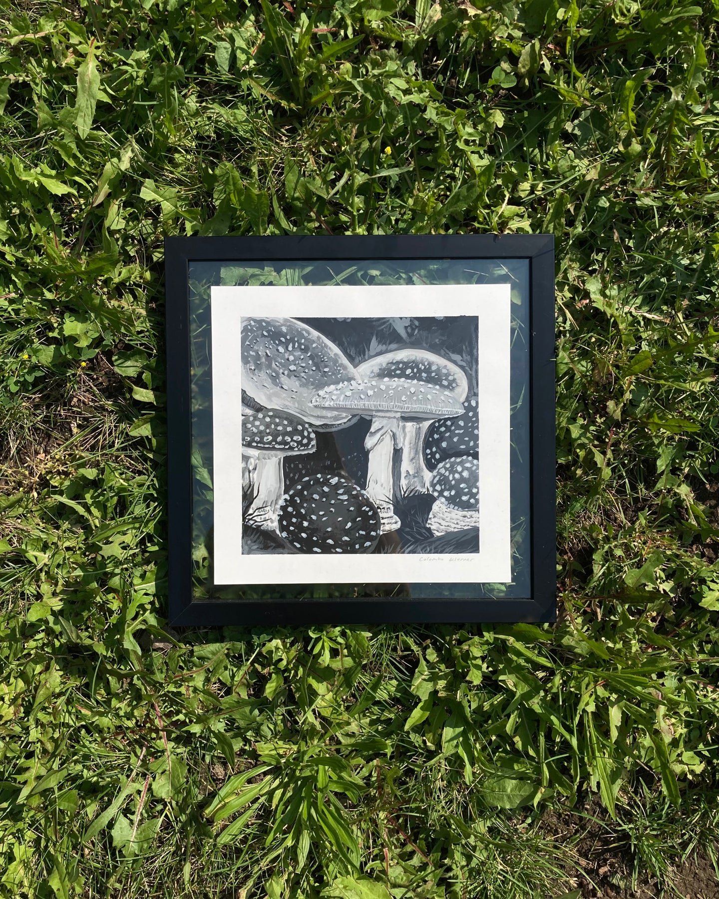 Colomba Klenner, Amanita in Mono