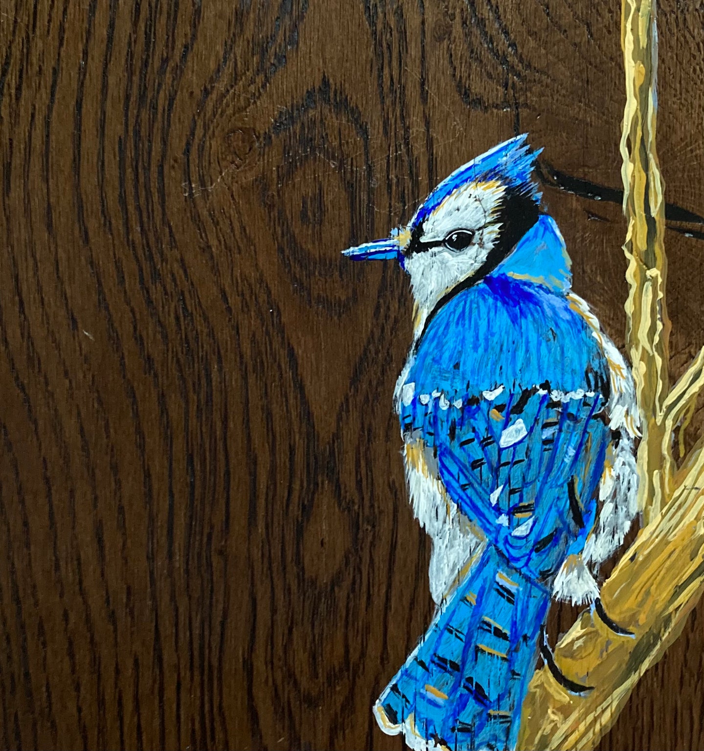 Colomba Klenner, The Blue Jay