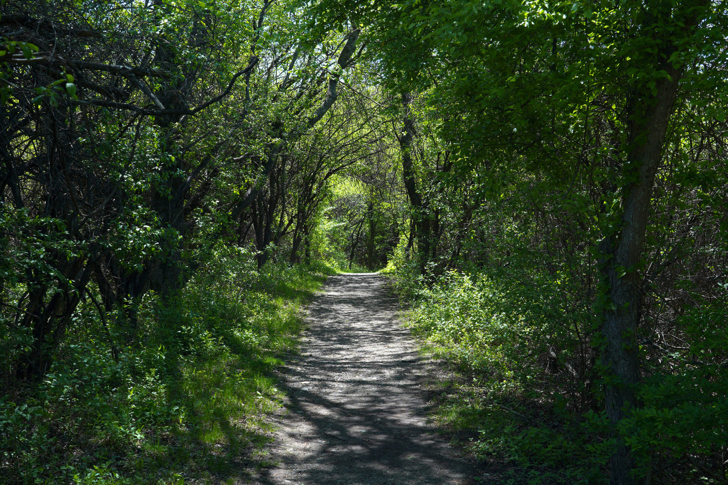 Sasha Knittel, Full Circle