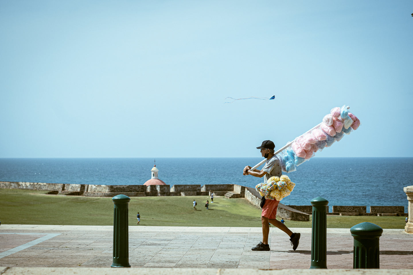 Sophia Yael Koevary, Cotton Candy