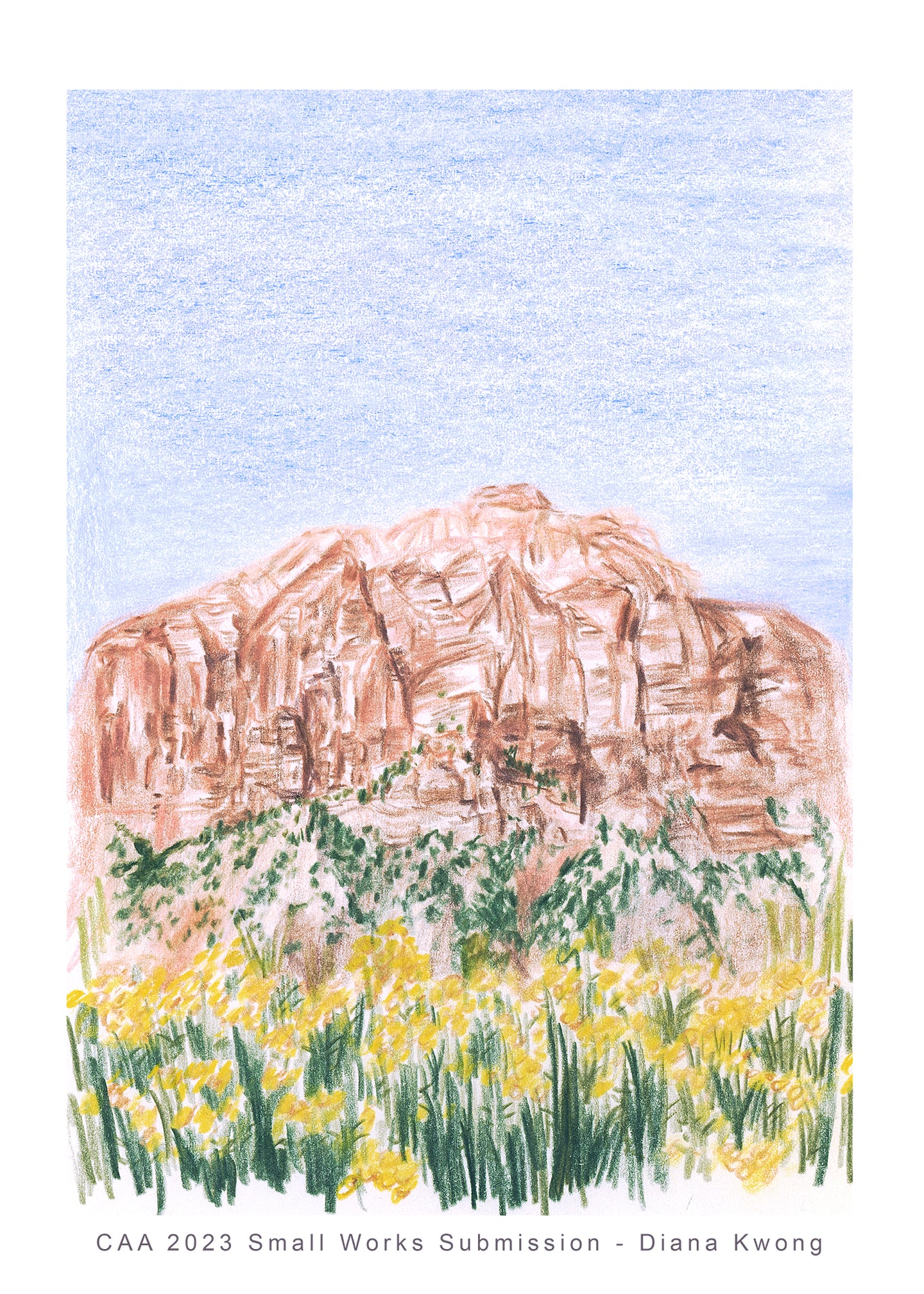 Diana Kwong, Zion Wildflowers