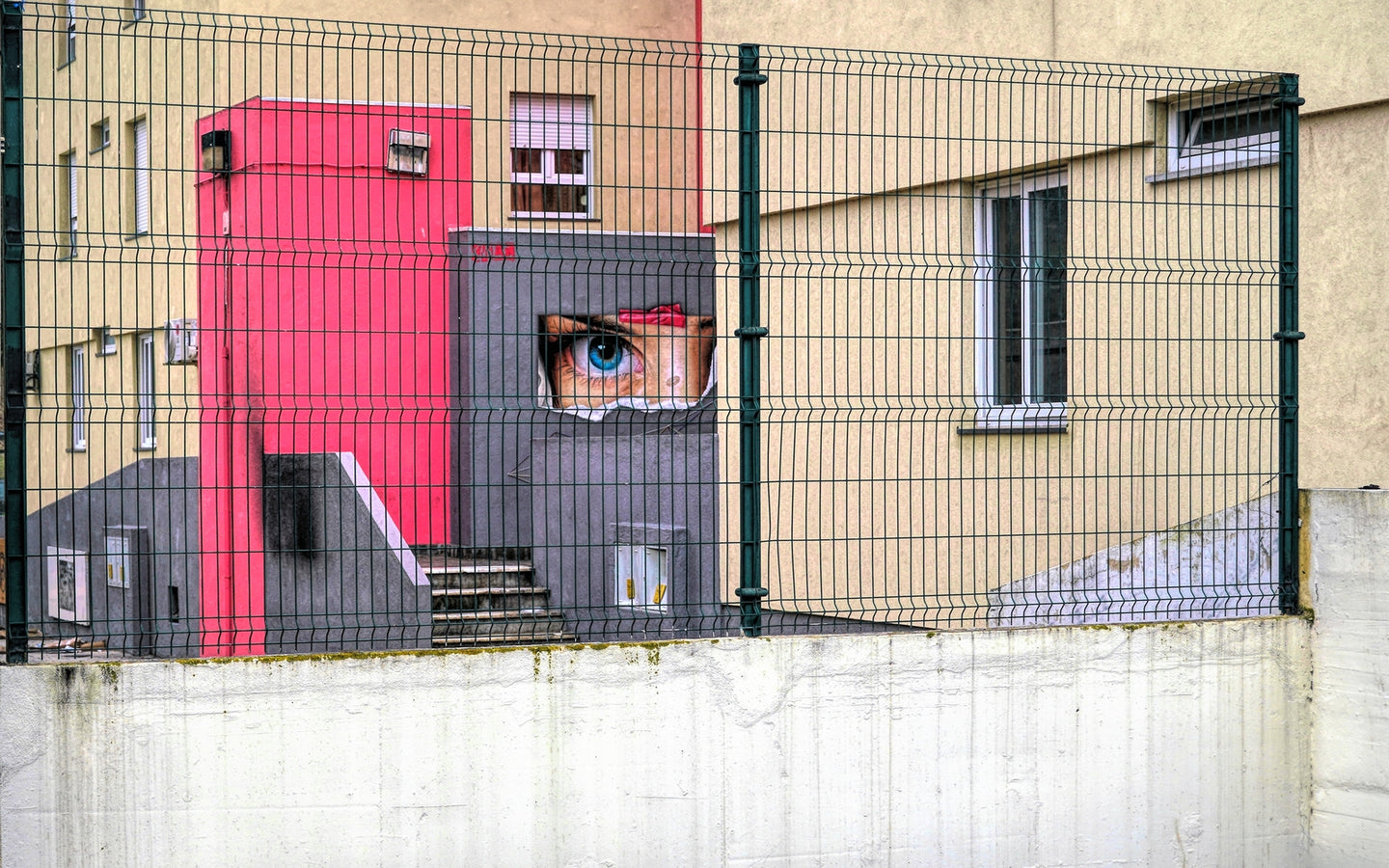 Joni Lohr, Watching You Watching Me