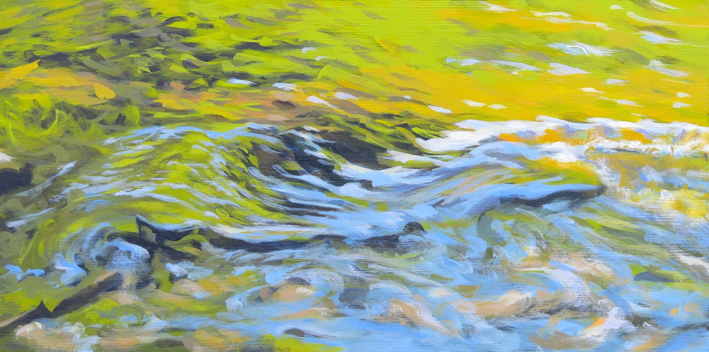 Diane Charyk Norris, Over & Under