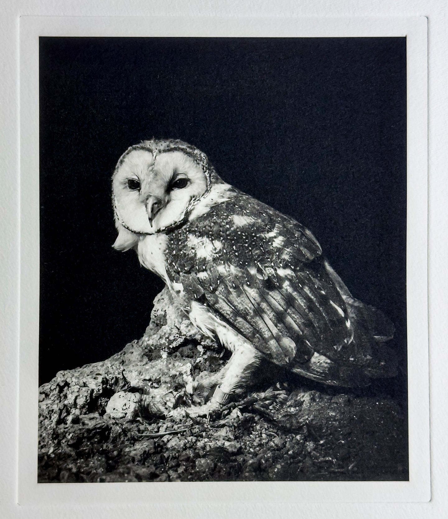 Robinson Ralph, Moment in the Dark