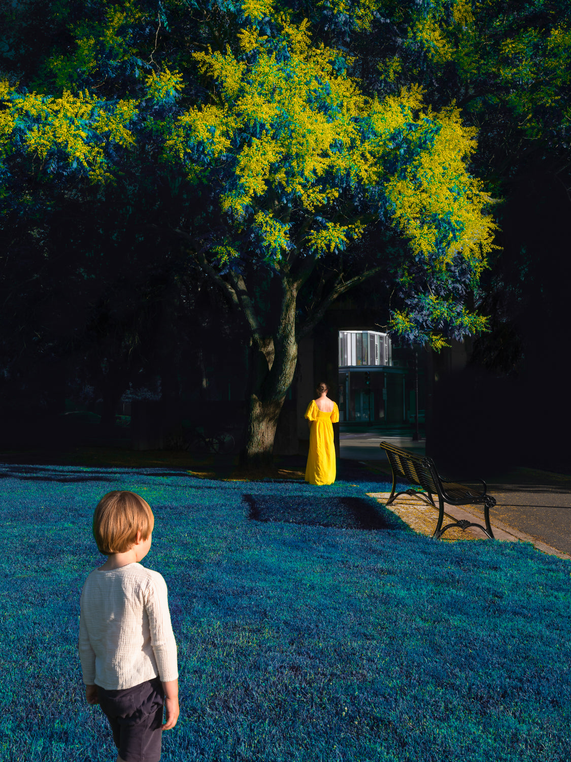 Anastasia Sierra, Distance