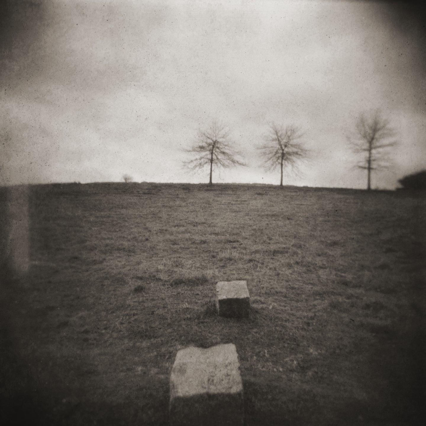 Dennis Stein, Three Trees