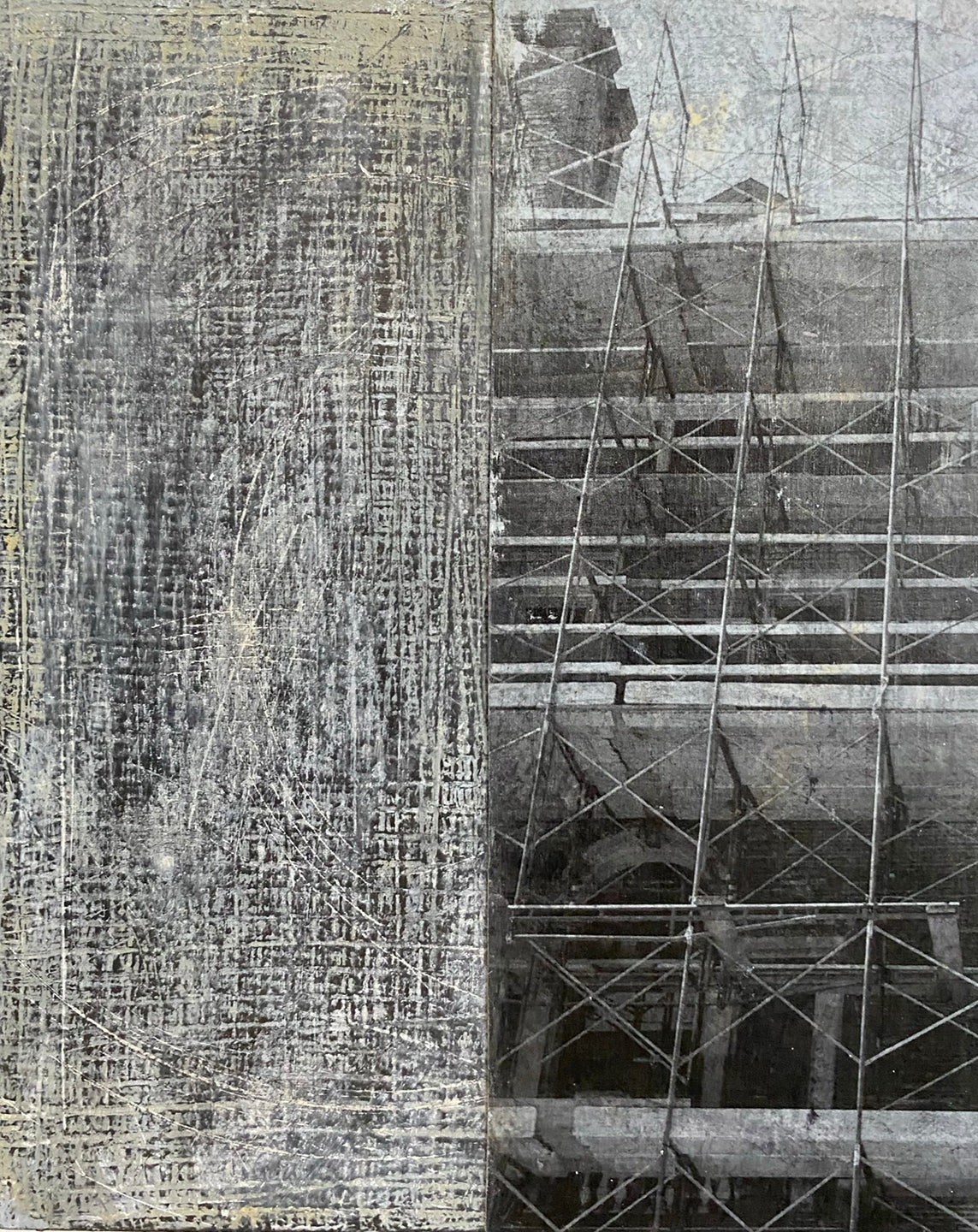 Eileen Taylor, From the Observation Series 1