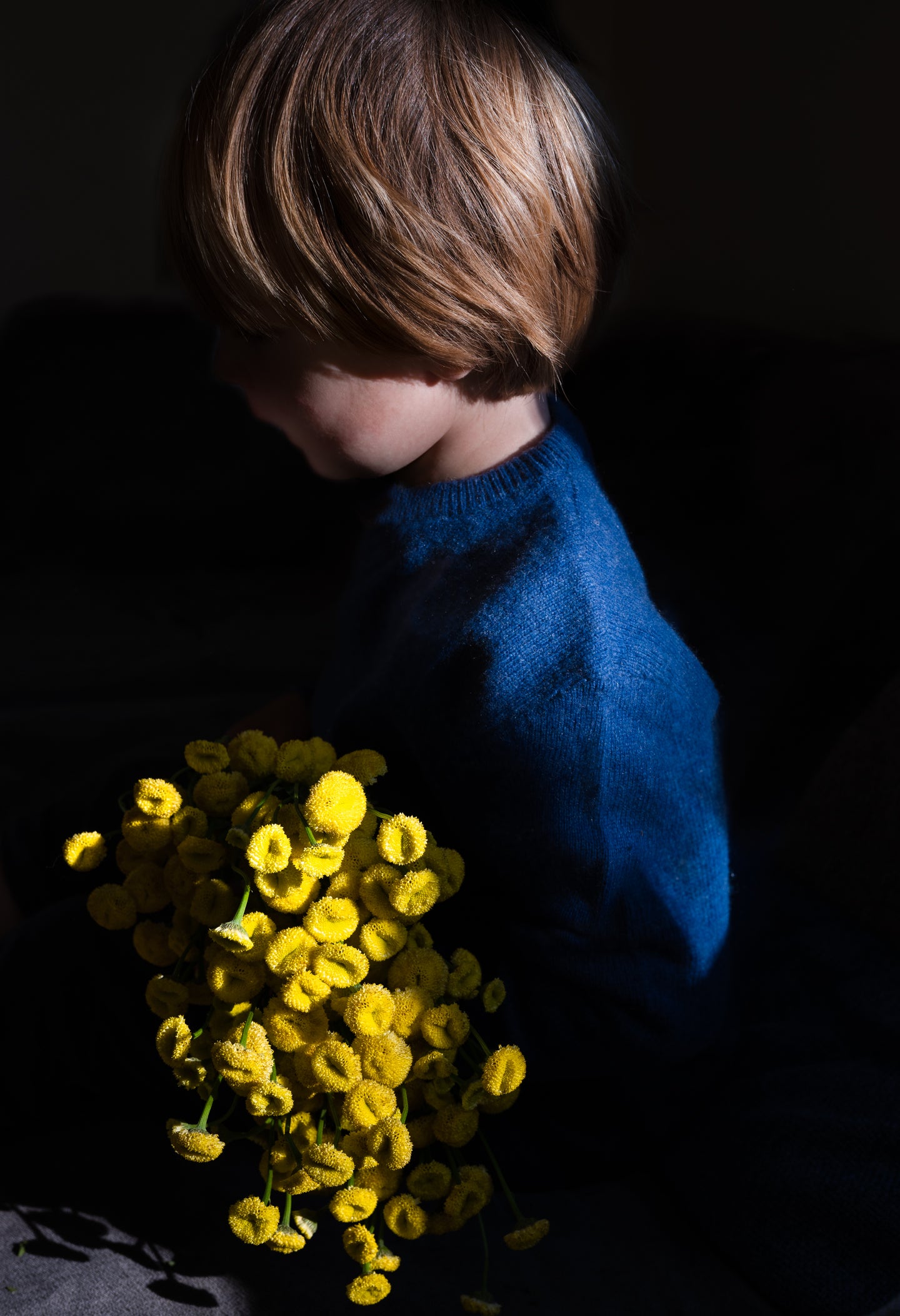 Anastasia Sierra, Chamomile