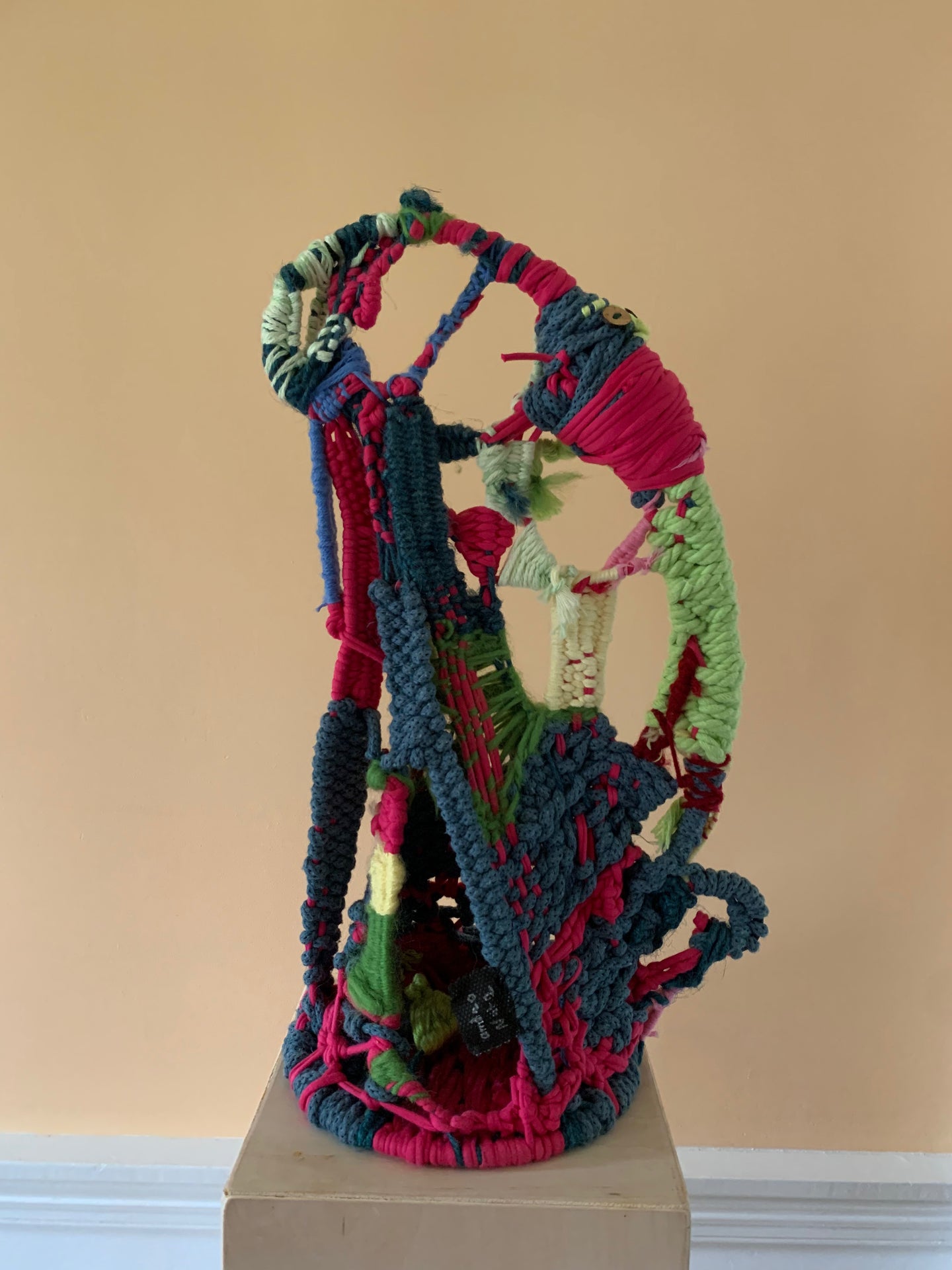 Anne-Marie Delaunay-Danizio, Nat 2