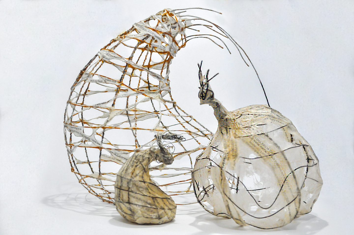 Anna Fubini, Letters Never Sent